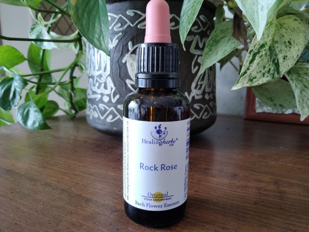 メルテンページ■30ml×5本■ヒーリングハーブス社フラワーエッセンス♪彡