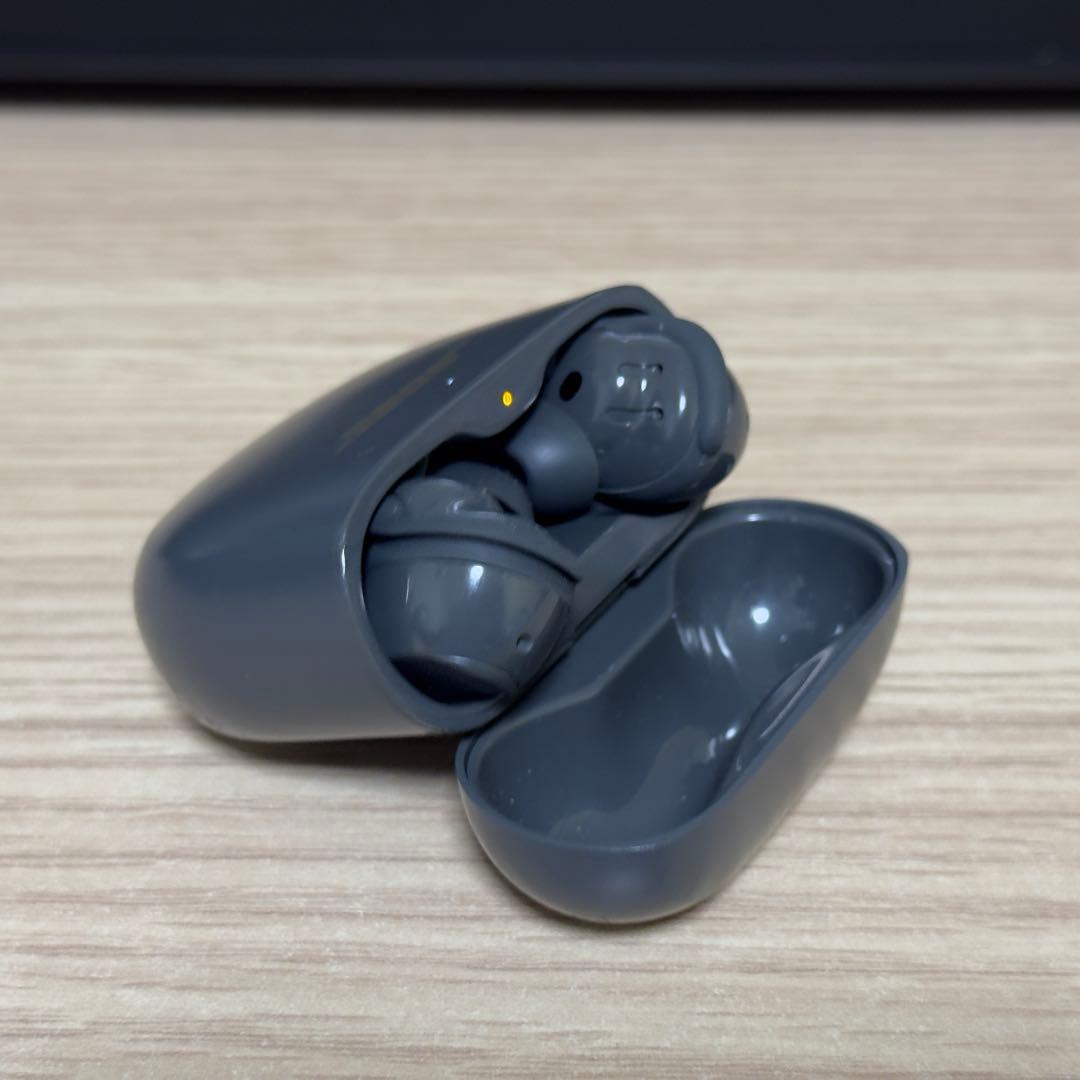 Bose QuietComfort Earbuds Ⅱ