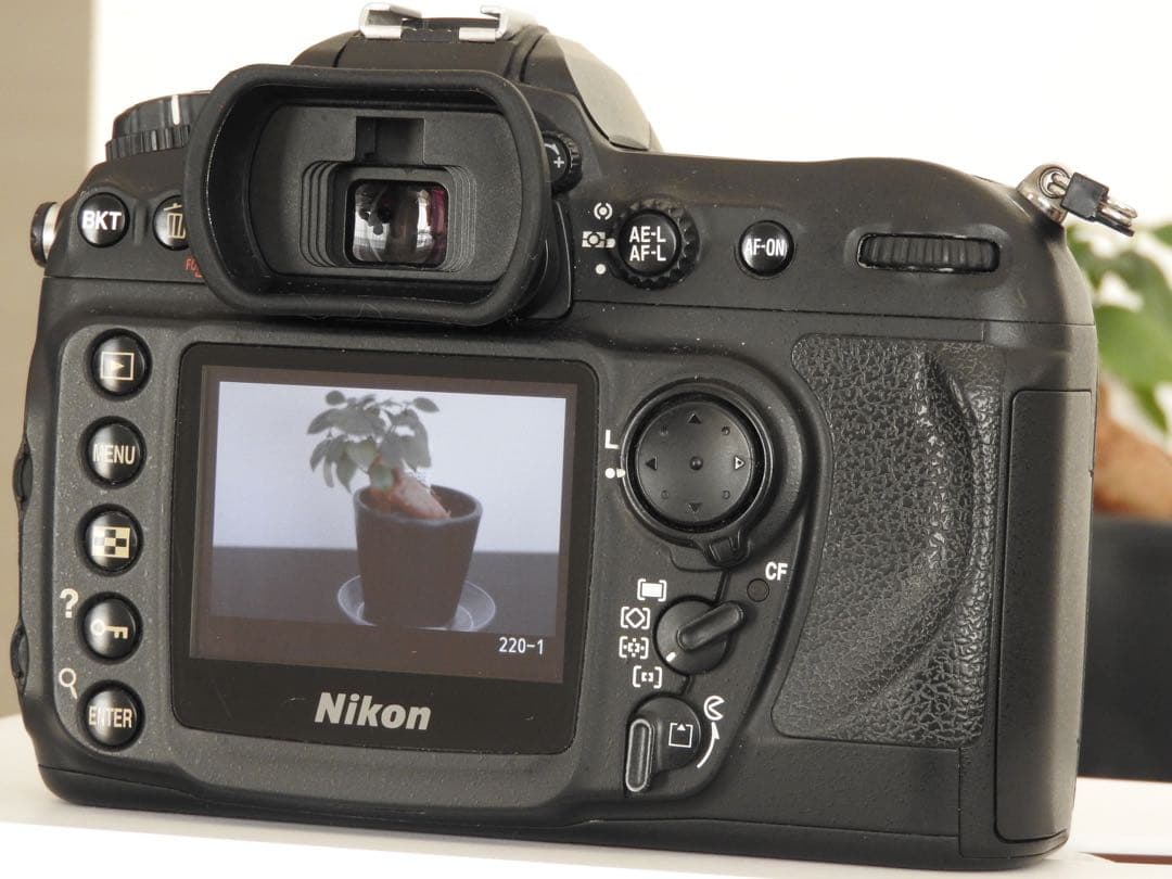 Nikon D200 NIKKOR 50mm f1.8 単焦点 オールドレンズ