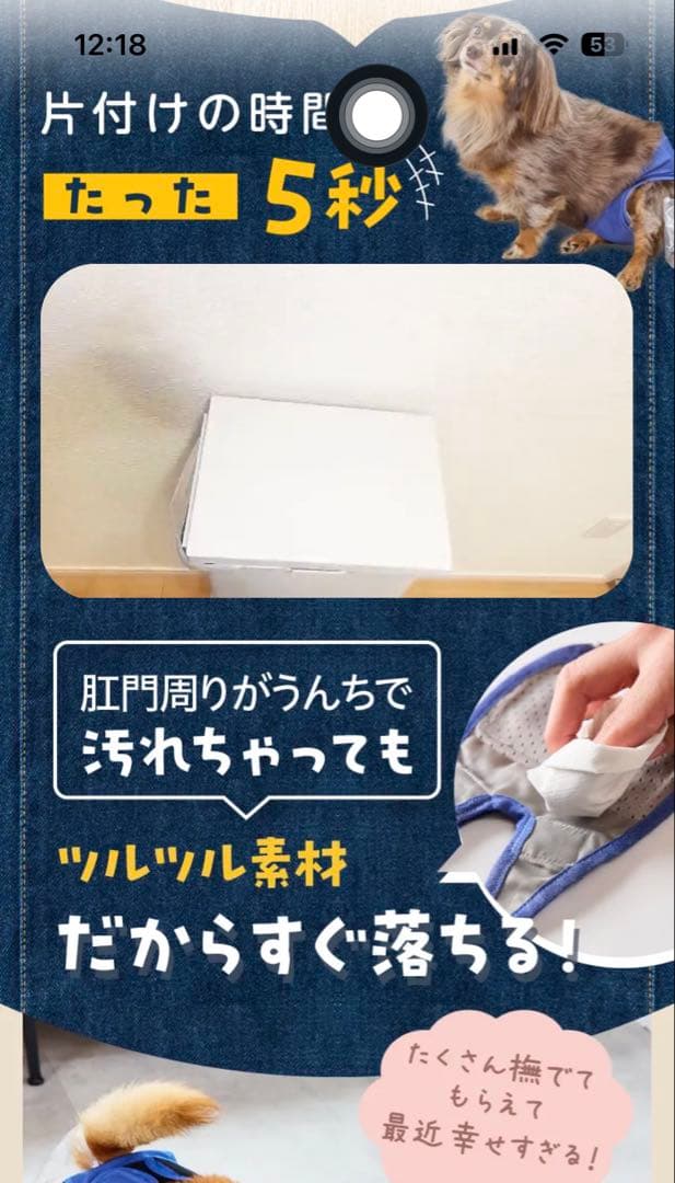 うんコロキャッチ改良最新版