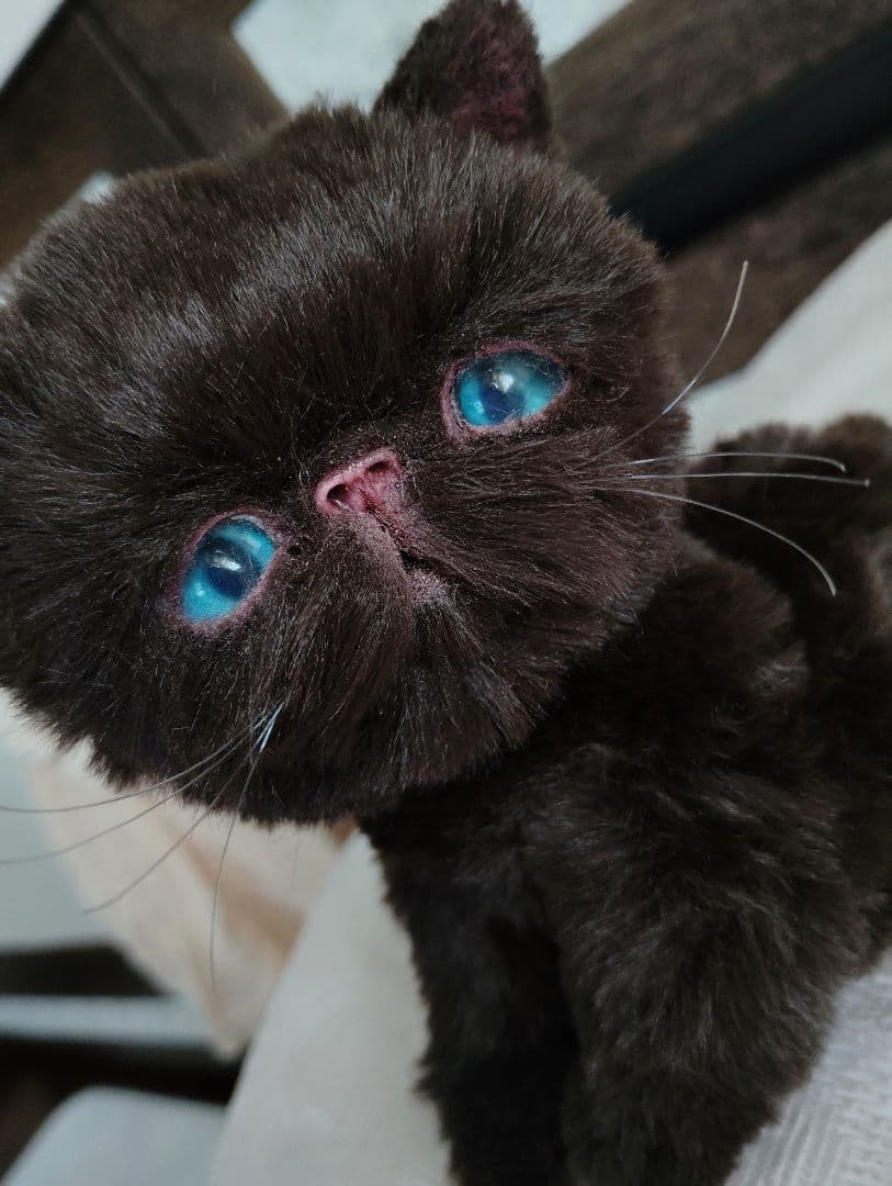 エキゾ子猫♡ちっちちゃん♡アートドール♡ぬいぐるみ♡