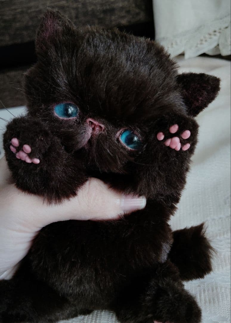 エキゾ子猫♡ちっちちゃん♡アートドール♡ぬいぐるみ♡