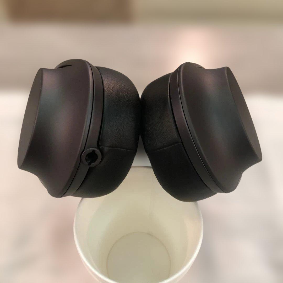 SONY MDR-H600A (オマケ付き)