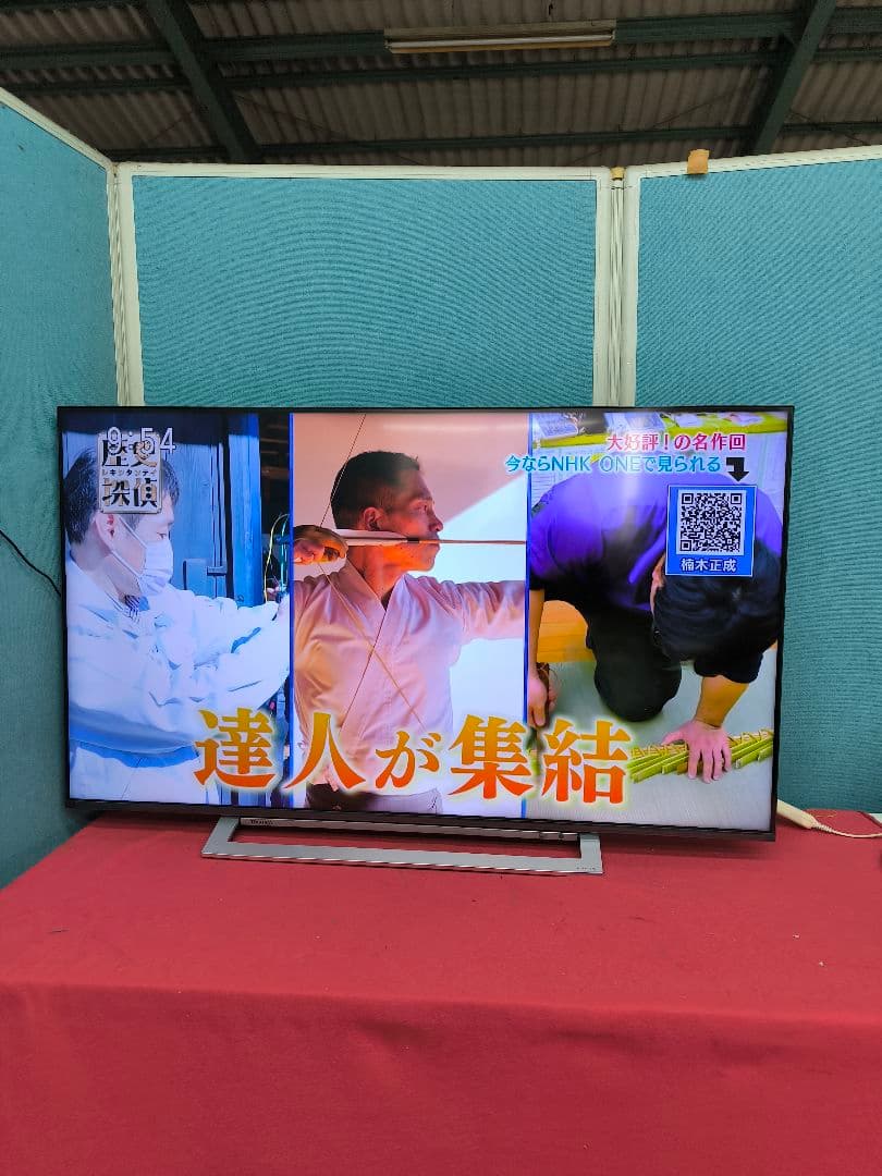 REGZA 4Kチューナー内蔵50V型 液晶テレビ 50M540X　ネット動画