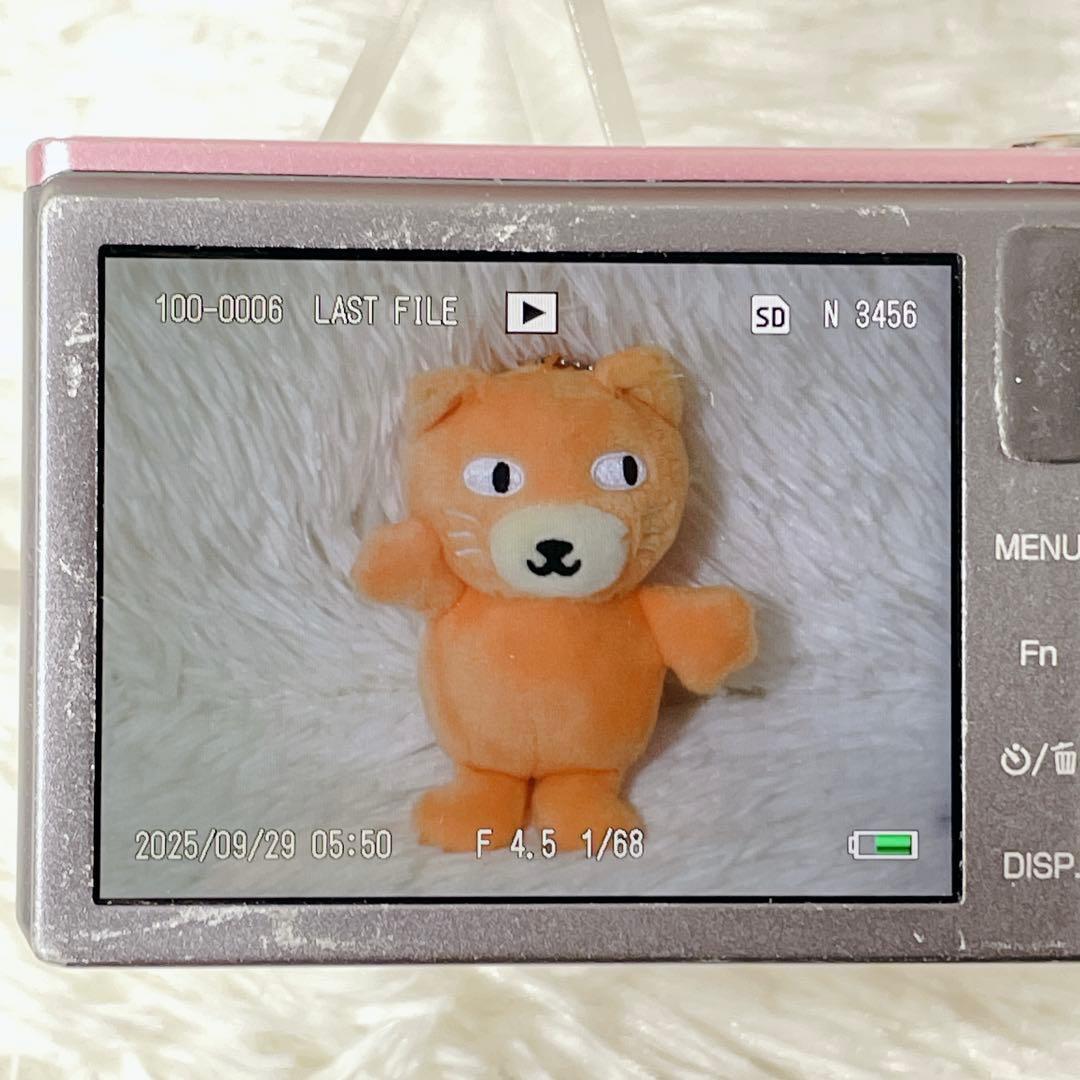 【✨稀少カラー✨】RICOH CX2 【✨新品バッテリー付き✨✨】 リコー