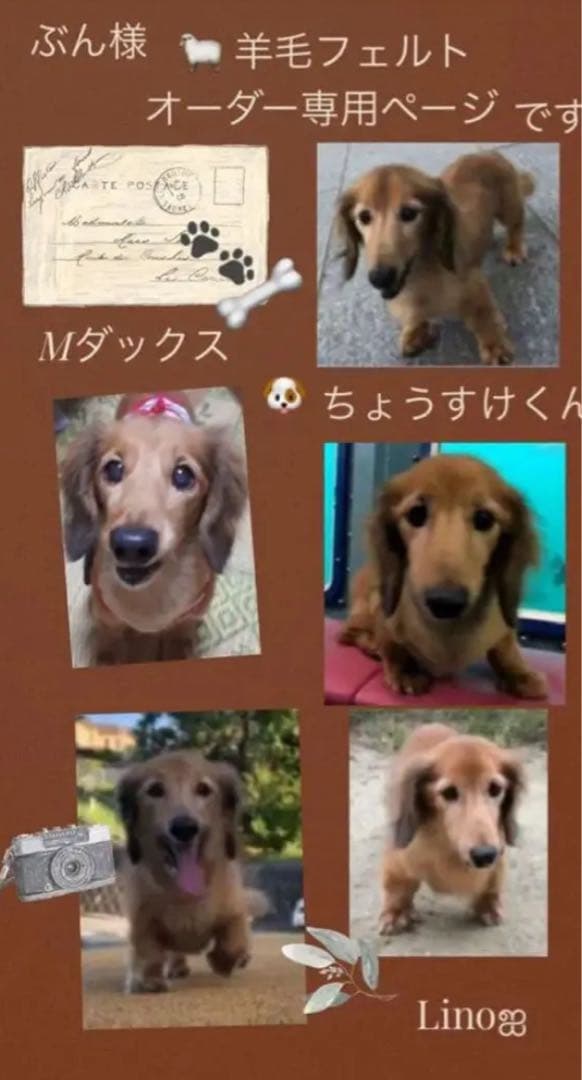 ‪ஐ‬羊毛フェルト ぶん様 ੯•`໒ Mダックス ご確認用ページです