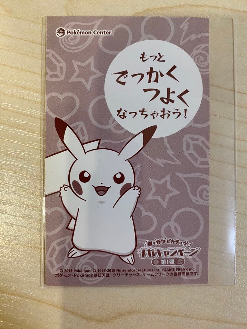 ポケモン 激カワ ピカチュウ メガキャンペーン 名刺カード メガリザードンY