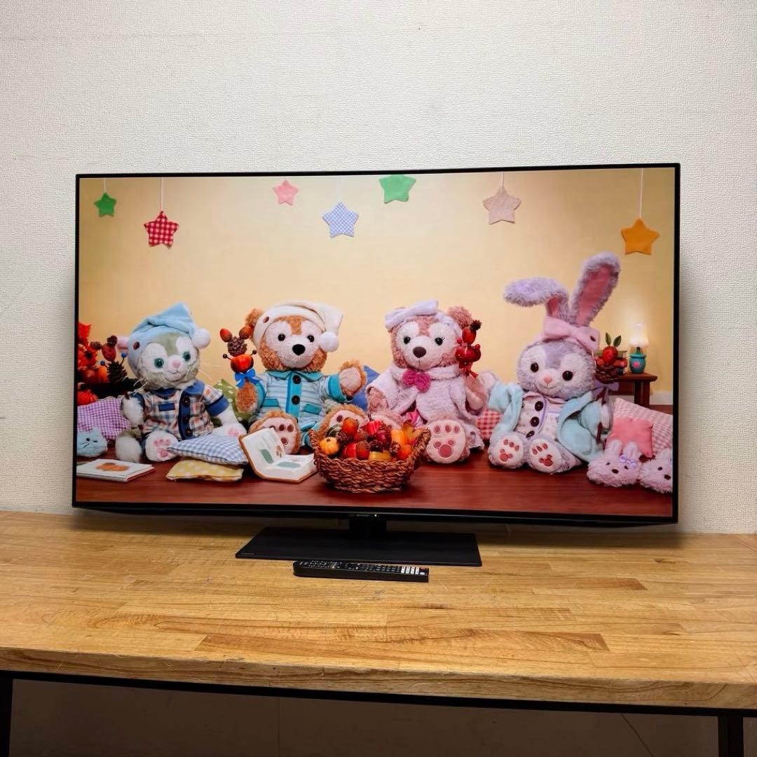 シャープ 55V型 4K 有機ELテレビ AQUOS 4T-C55DQ1