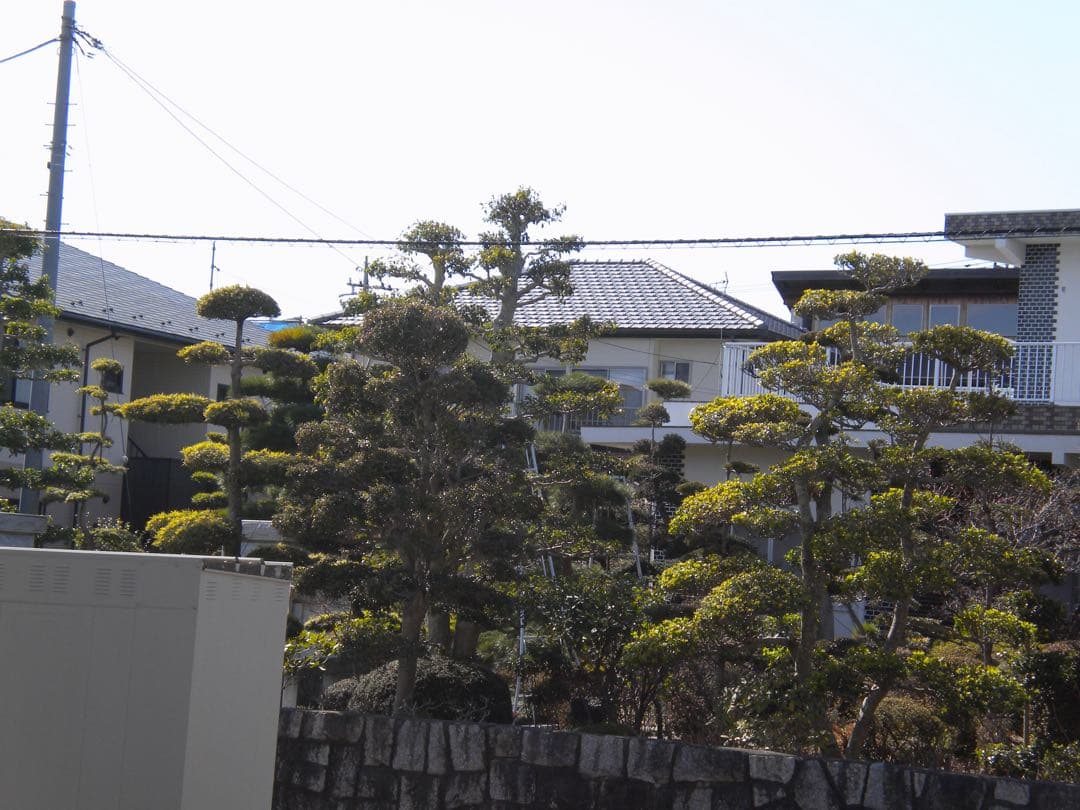【オールドコンデジ】 Nikon COOLPIX S230