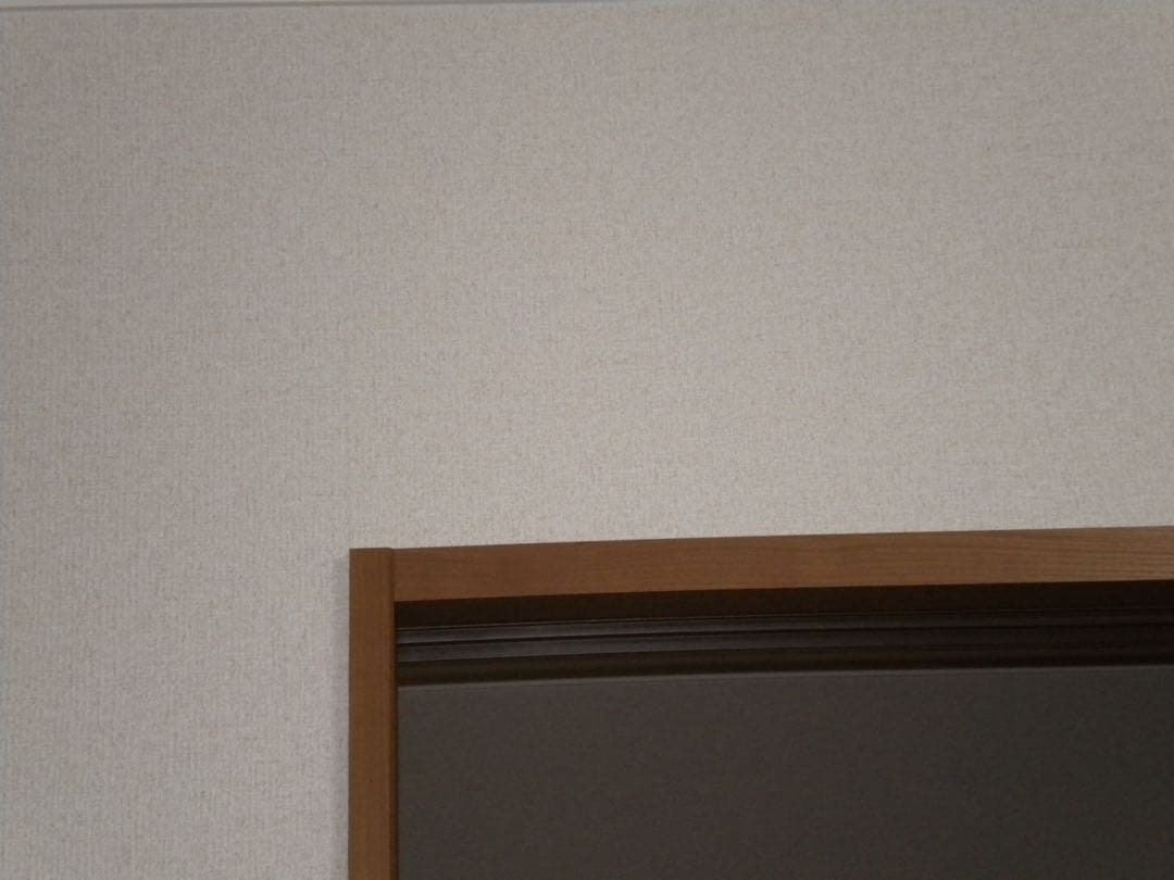 【オールドコンデジ】 Nikon COOLPIX S230