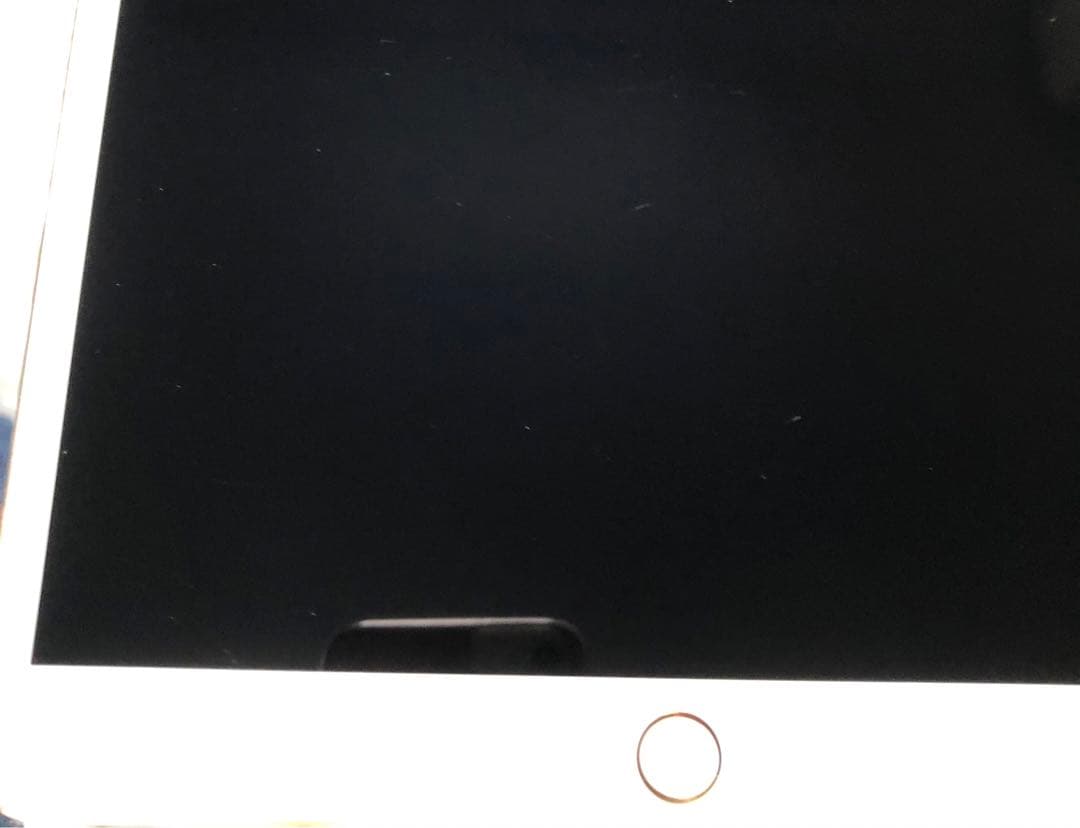 【完動品】iPad Pro 10.5 256GB 【すぐ発送】【付属品】