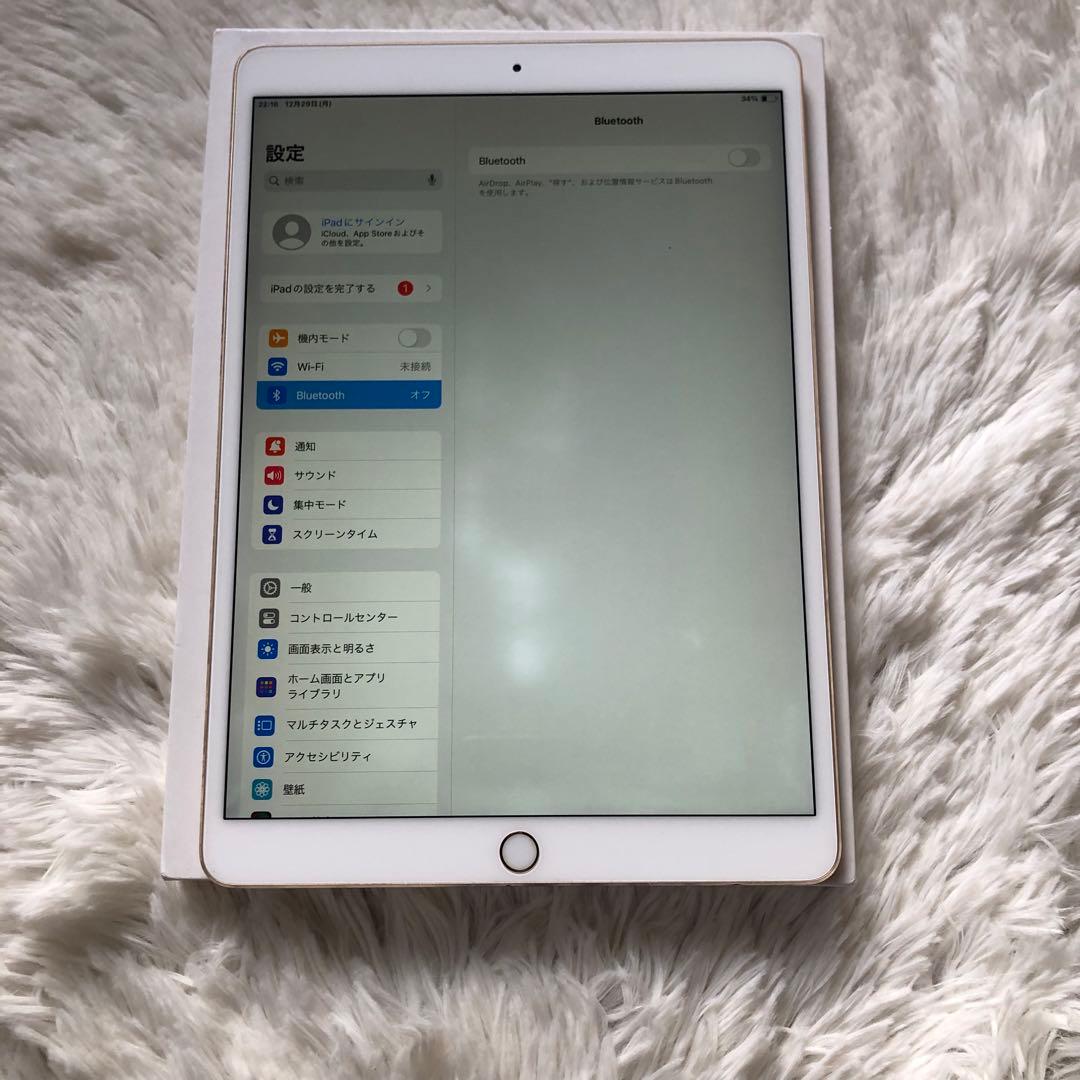 【完動品】iPad Pro 10.5 256GB 【すぐ発送】【付属品】