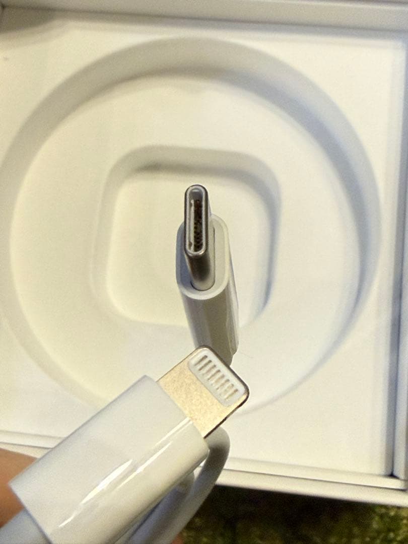 AirPods Pro 本体 充電ケース付き　第1世代