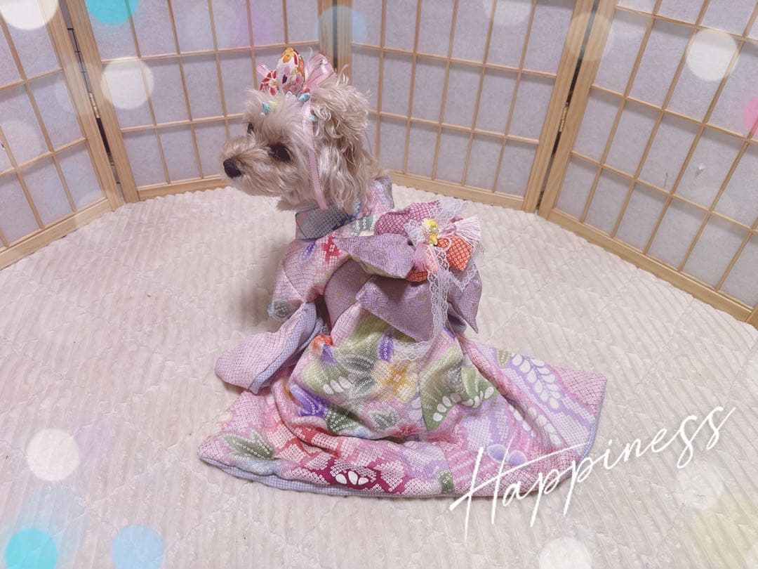 B469.pon2pan2☆犬オーダーお着物☆正絹有松絞りお着物☆犬お着物