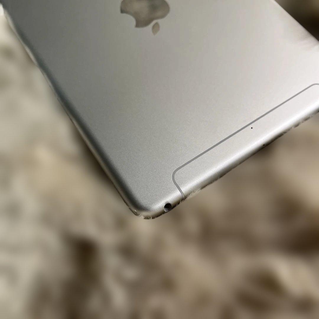 Apple iPad mini５Wi-Fi + Cellular シルバー 中古