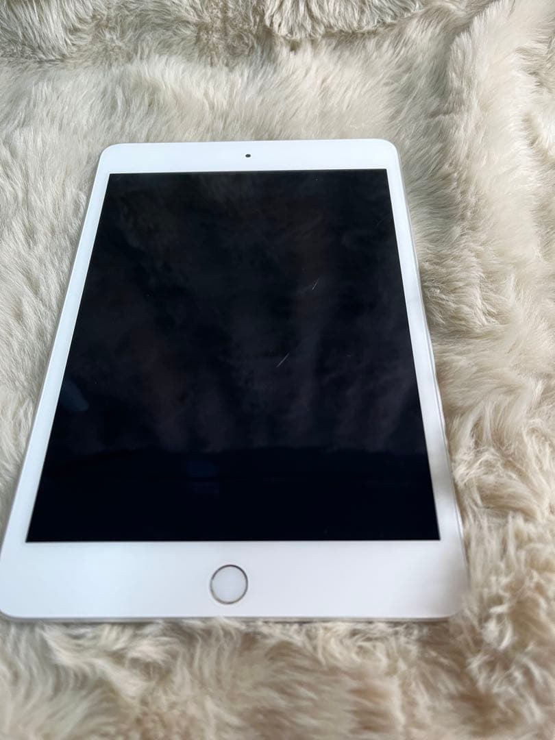 Apple iPad mini５Wi-Fi + Cellular シルバー 中古