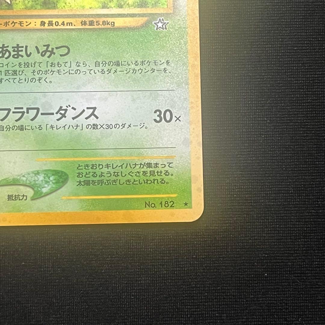 キレイハナ　旧裏