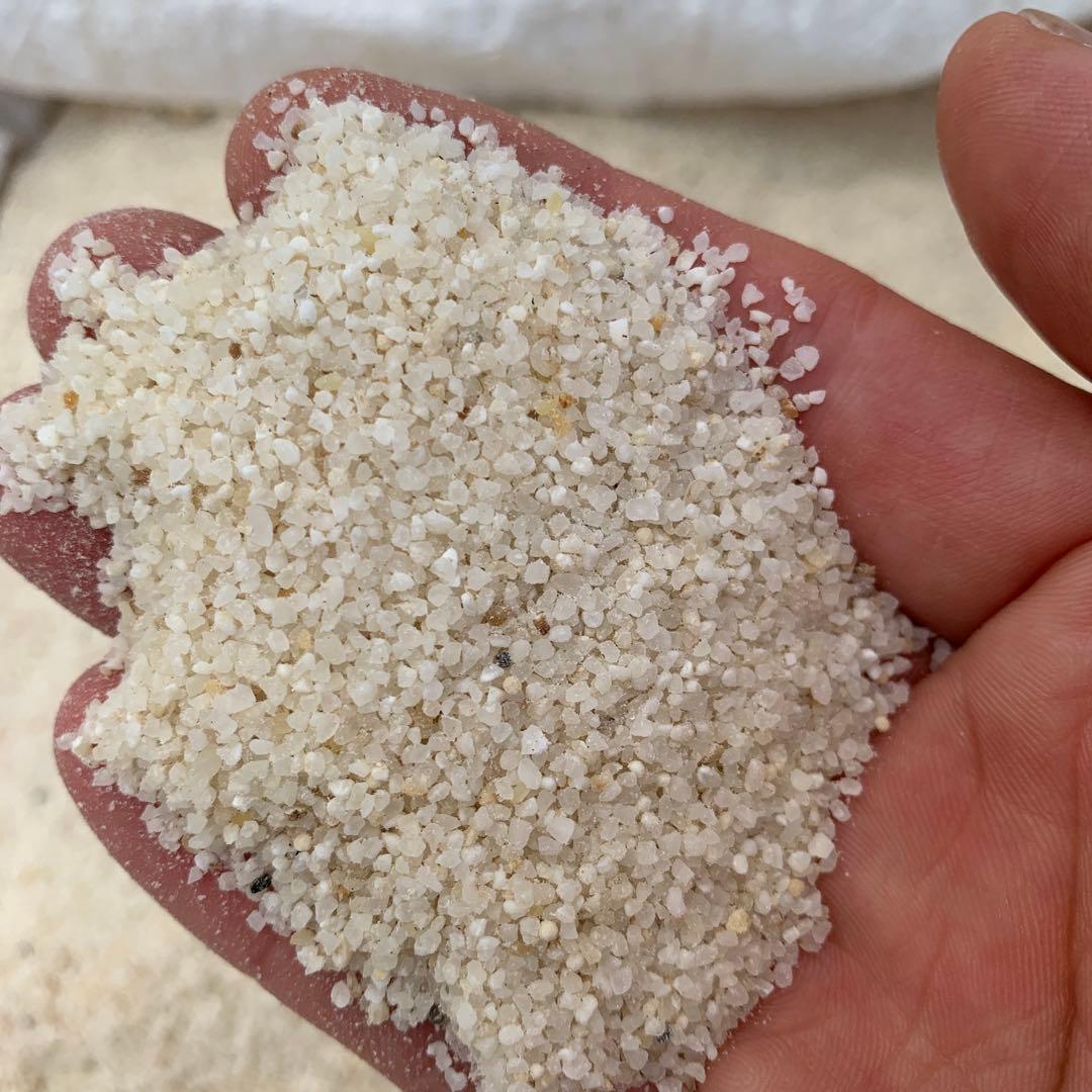 新米（くず米）20kg、鳥のエサに最適 6年度産