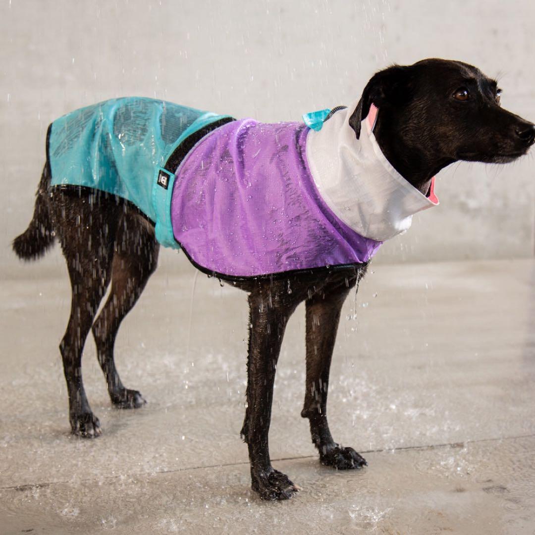 zee.dog BEL-AIR RAINCOAT S ベルエア レインコートS