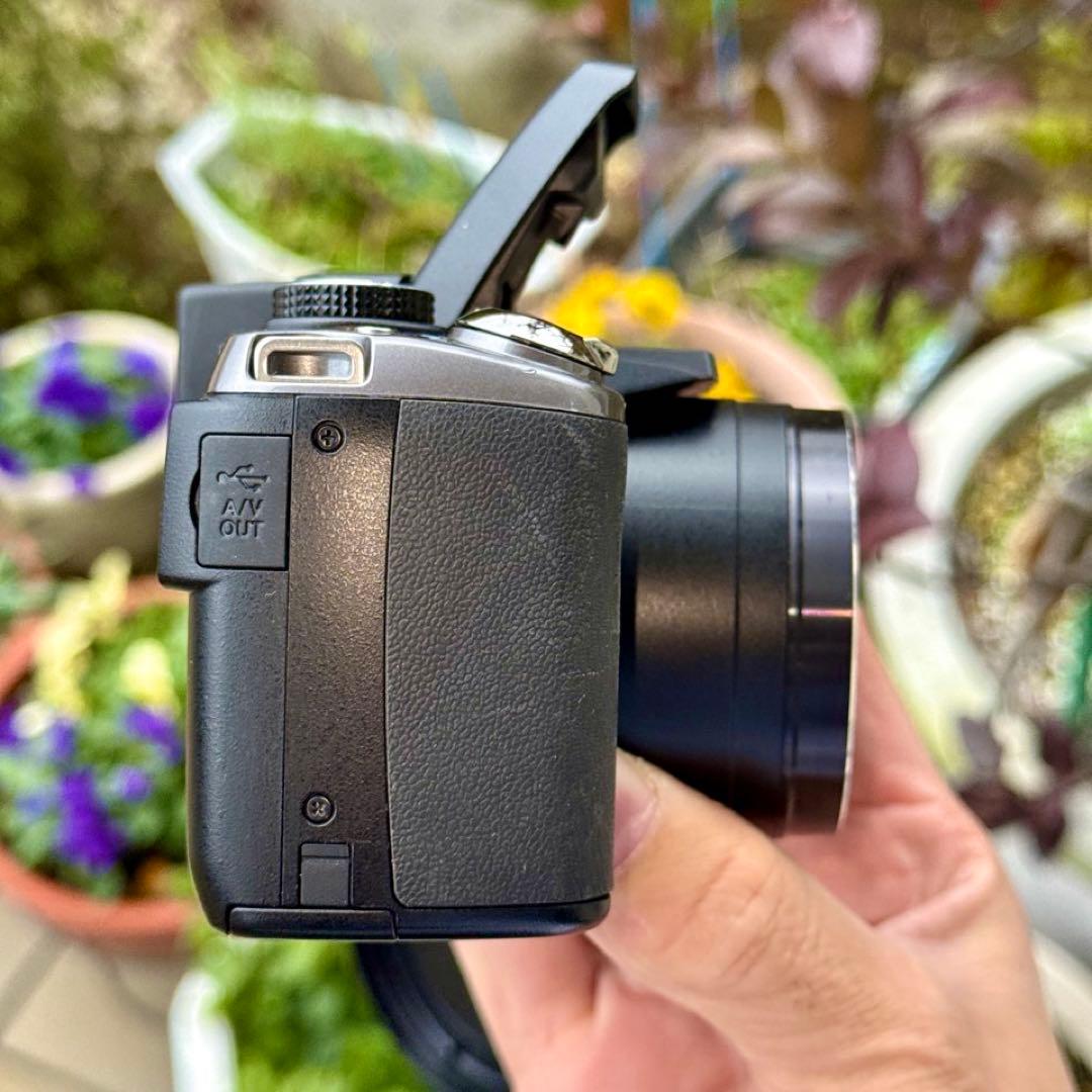 ☆動作OK Nikon coolpix P90 バッテリー&充電器&SDカード付