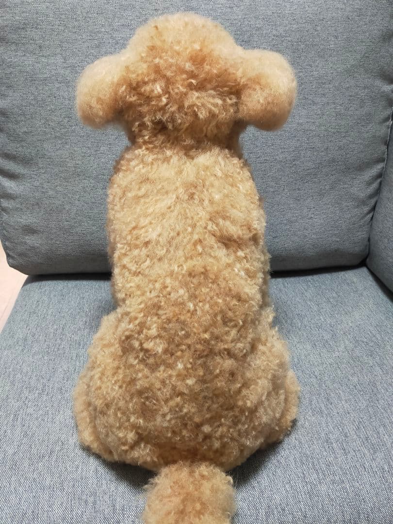 羊毛フェルトオーダー確認用。トイプードルレッドちゃん♡実物大。