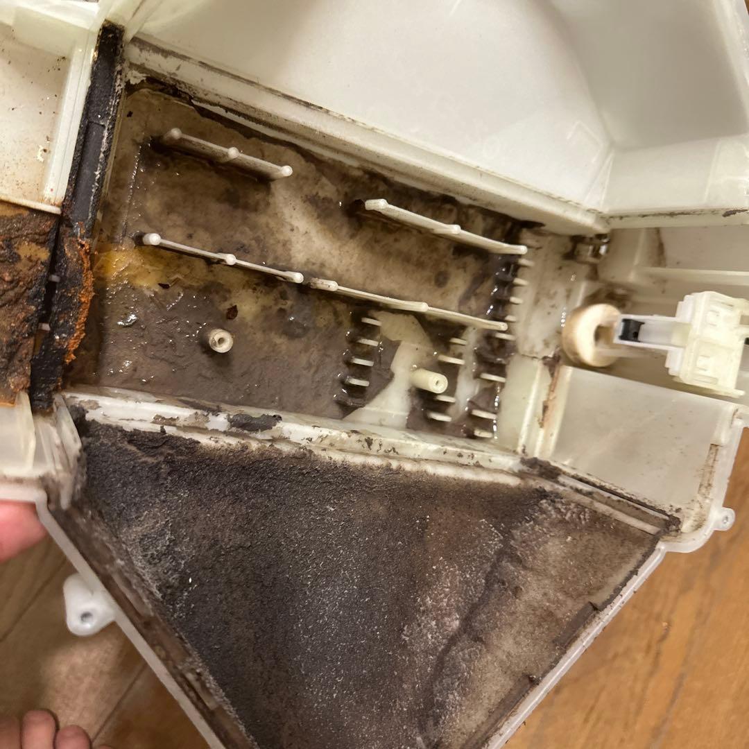 シャープ　ES-W114-SL 2023年購入　分解清掃済み　ドラム式洗濯乾燥機