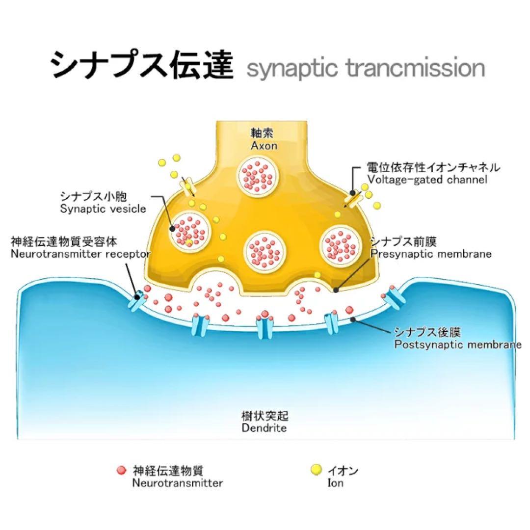インテリジェンス intelligence 270粒（30日分）日本製 DHA