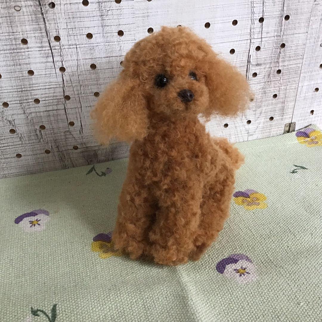 トイプードル（レッド）