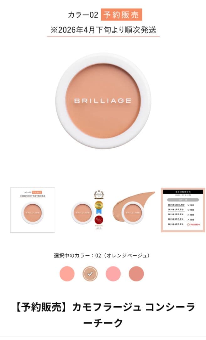 BRILLIAGE カモフラージュ コンシーラーチーク カラー02
