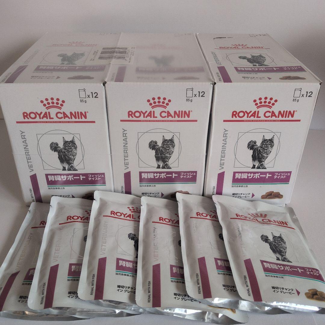  CANIN 腎臓サポート フィッシュテイスト 85g x 42個