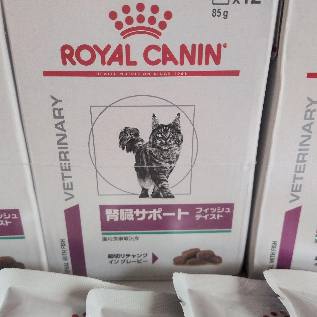  CANIN 腎臓サポート フィッシュテイスト 85g x 42個