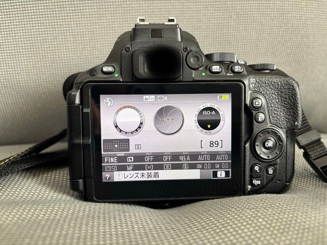 【値下げ中】Nikon D5500 ボディ（本体・バッグ・付属品）