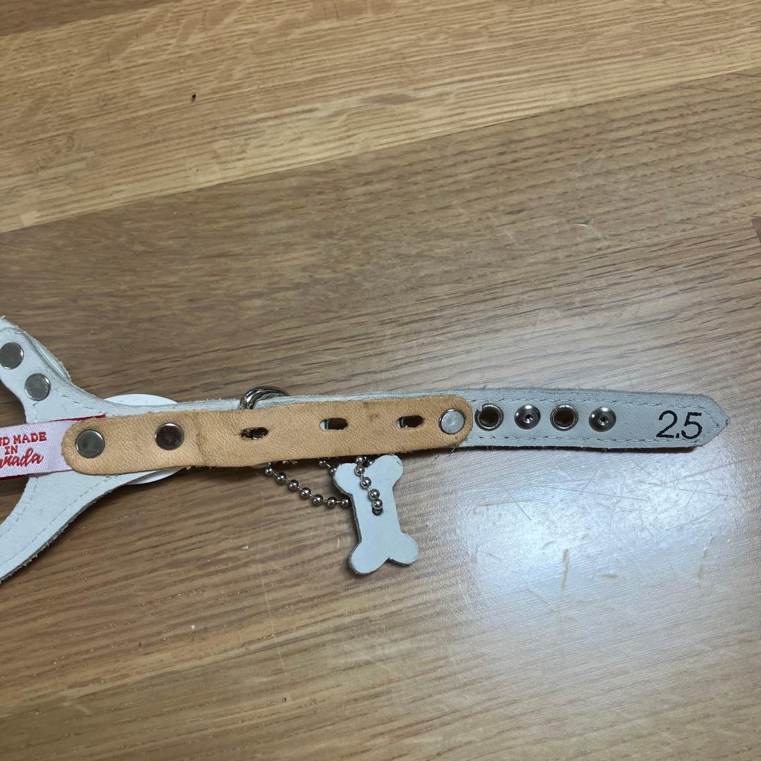 Buddy Belts ホワイトハーネス 2.5