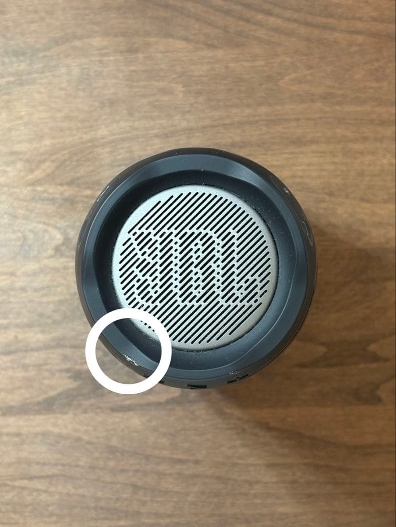【値下げ】JBL PULSE4 Black