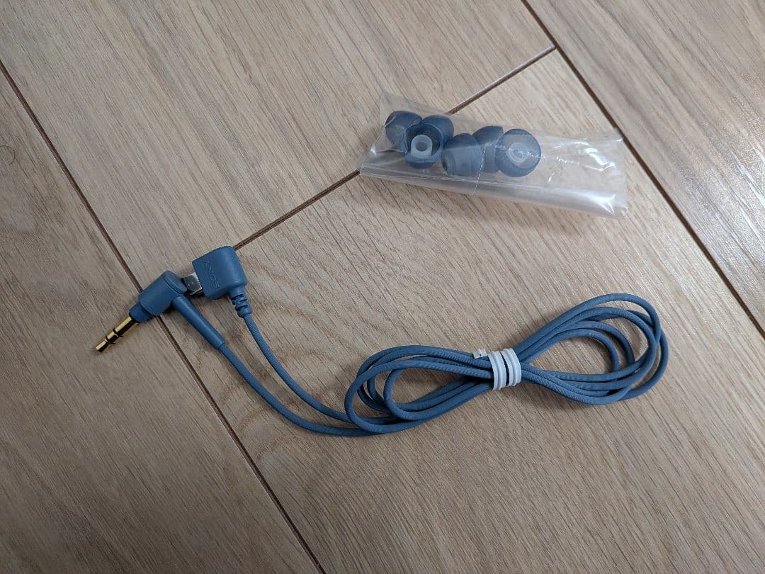 WI-H700　ワイヤレスイヤホン