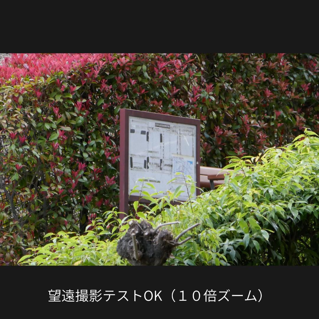 Panasonic Lumix DMC-TX1 撮影テスト済み 難あり １型