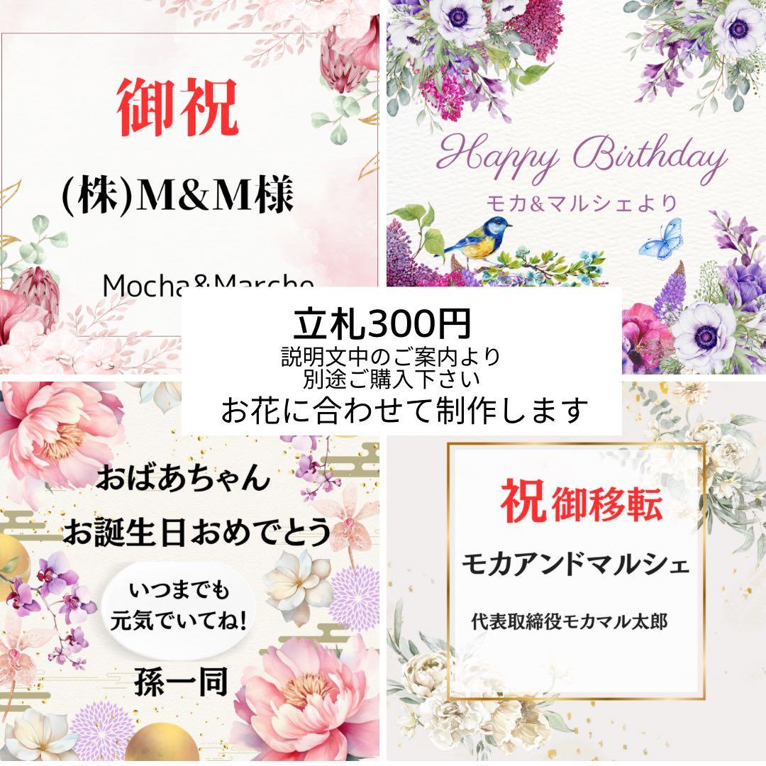 【光触媒加工】ナチュラルドライスタイルスワッグ｜ホワイトローズとプロテアスワッグ