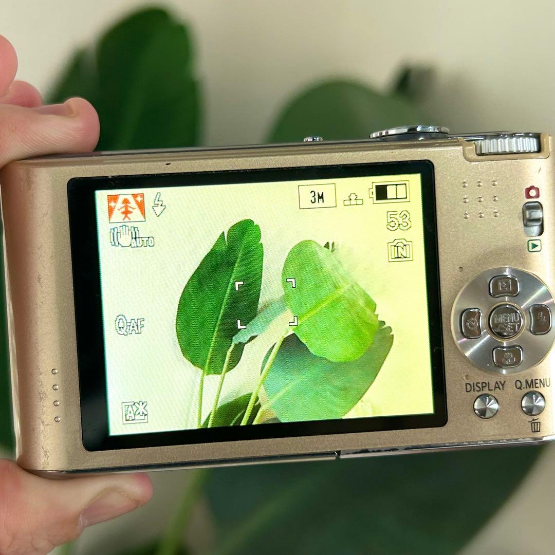 付属品完備 美品 Panasonic LUMIX DMC-FX66 ゴールド