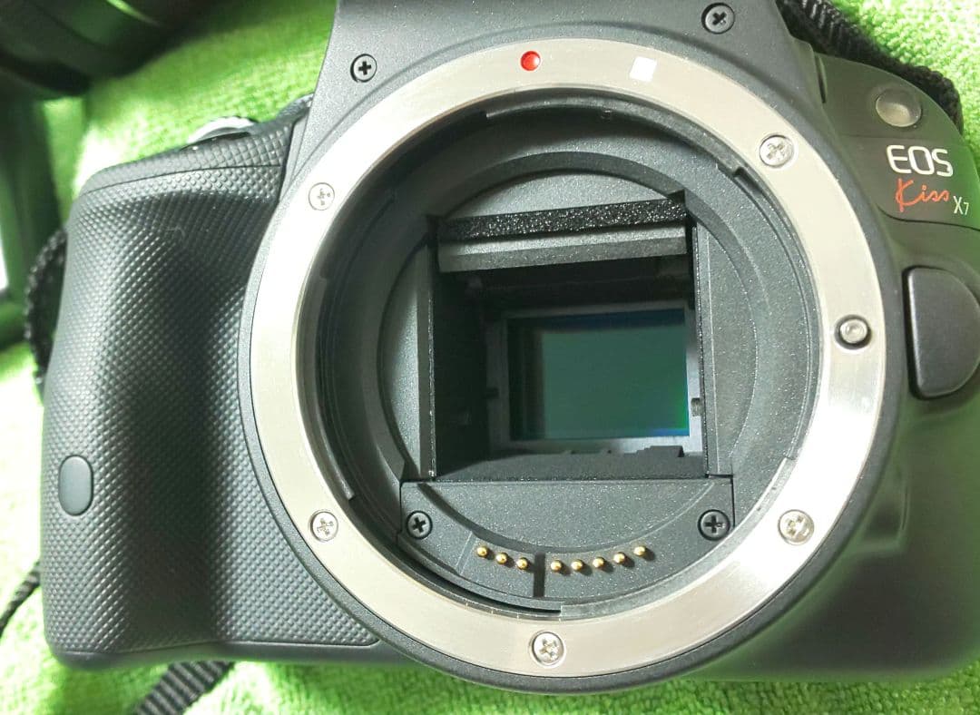 Canon EOS kiss X7 キヤノン一眼レフデジタルカメラ APS-C