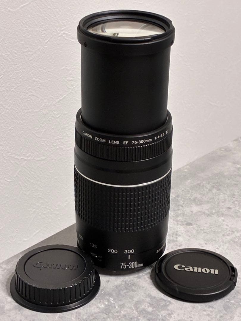 ⭐️美品⭐️Canon EF 75-300mm F4-5.6 III 望遠レンズ