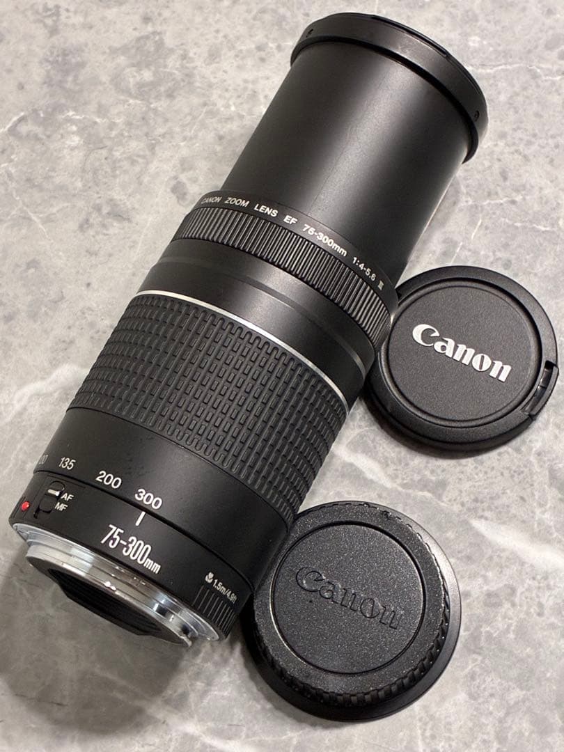 ⭐️美品⭐️Canon EF 75-300mm F4-5.6 III 望遠レンズ