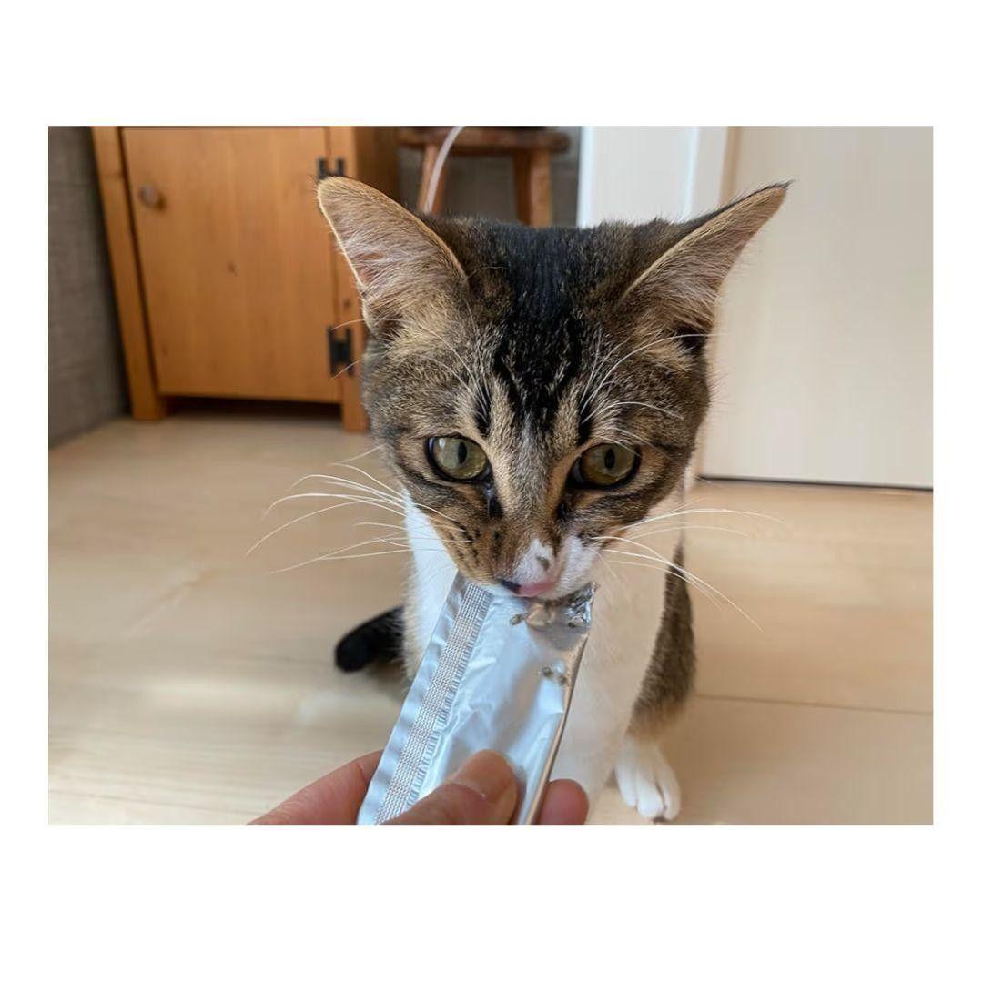 neco-ri ねこり 猫 健康おやつ 猫用おやつ 新品未開封 各10包 4箱