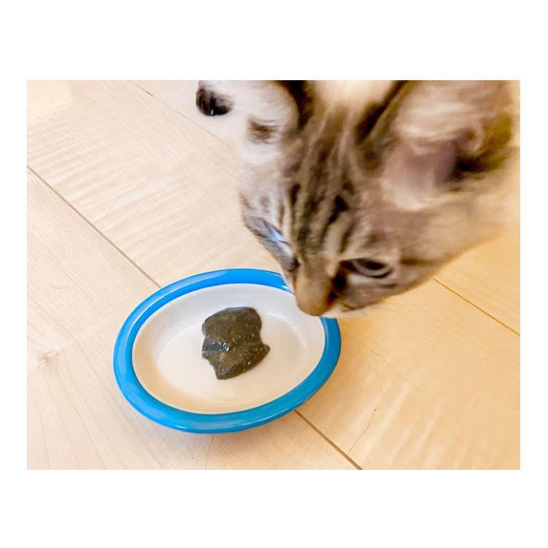 neco-ri ねこり 猫 健康おやつ 猫用おやつ 新品未開封 各10包 4箱
