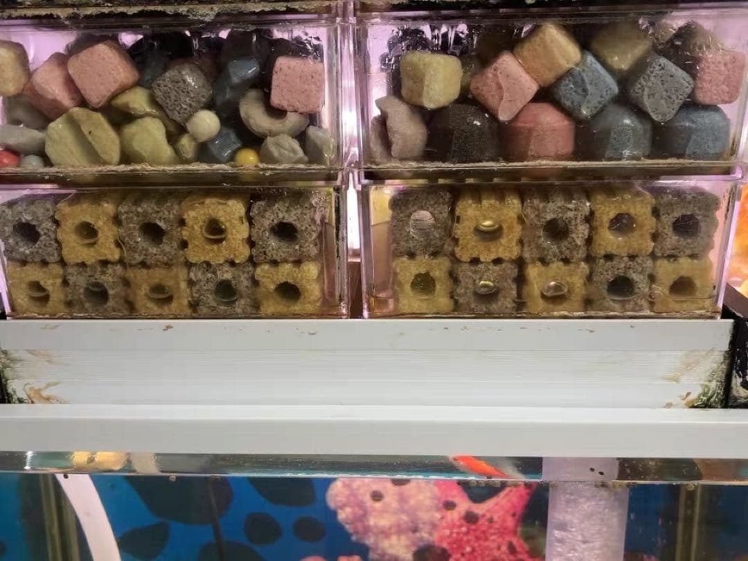 100本多孔質セラミック製水槽池用濾過材海水魚　水草　メダカ　金魚錦鯉水質浄化