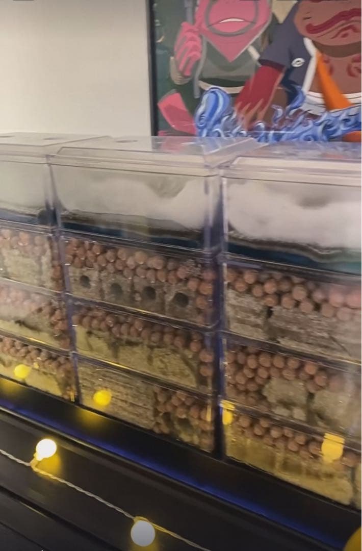 100本多孔質セラミック製水槽池用濾過材海水魚　水草　メダカ　金魚錦鯉水質浄化