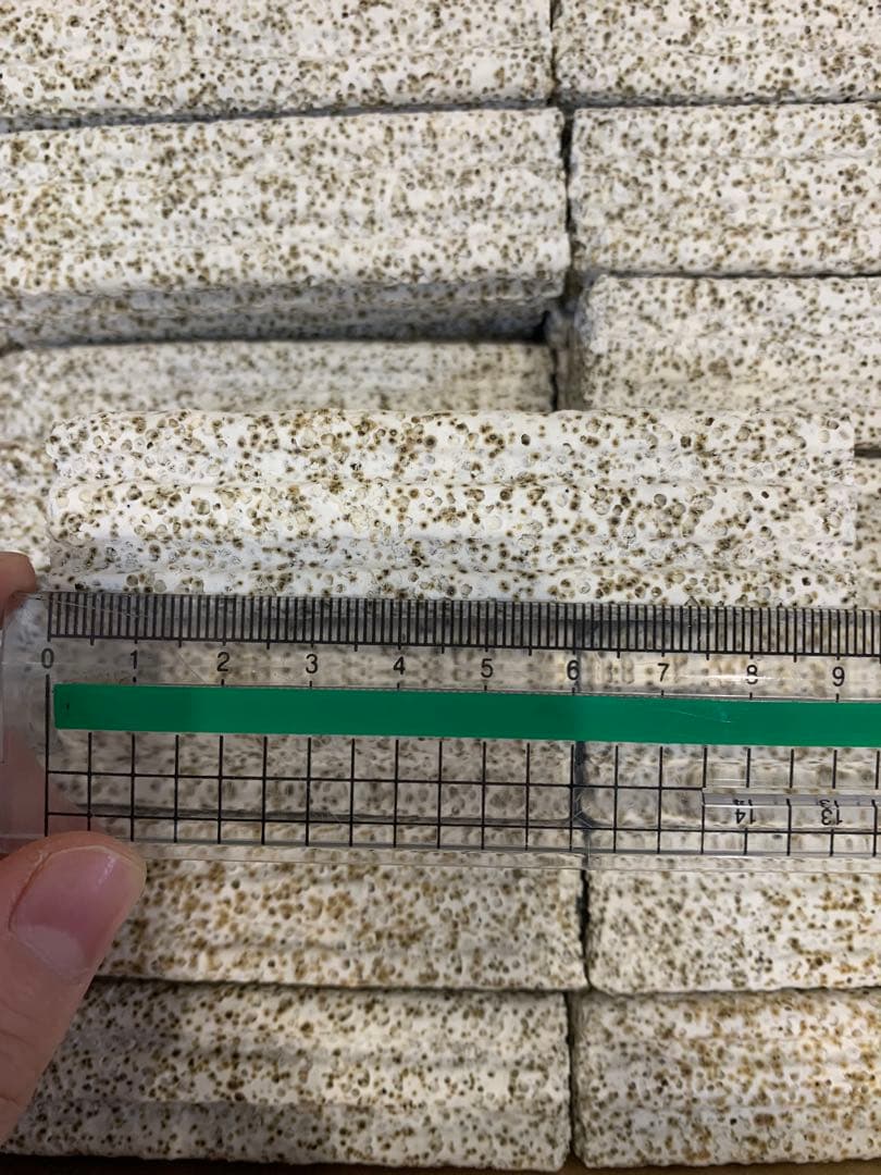 100本多孔質セラミック製水槽池用濾過材海水魚　水草　メダカ　金魚錦鯉水質浄化