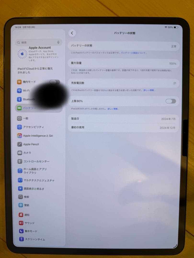 【専用出品】iPad Pro (M4) 13インチ256GB WiFiモデル