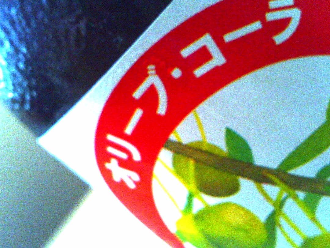 【値下げ中】スペシャルボックス版デジタルハリネズミ2＋＋