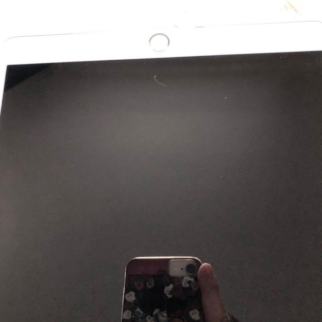【早い者勝ち】iPad Pro 10.5 256GB SIMフリー 【すぐ発送】