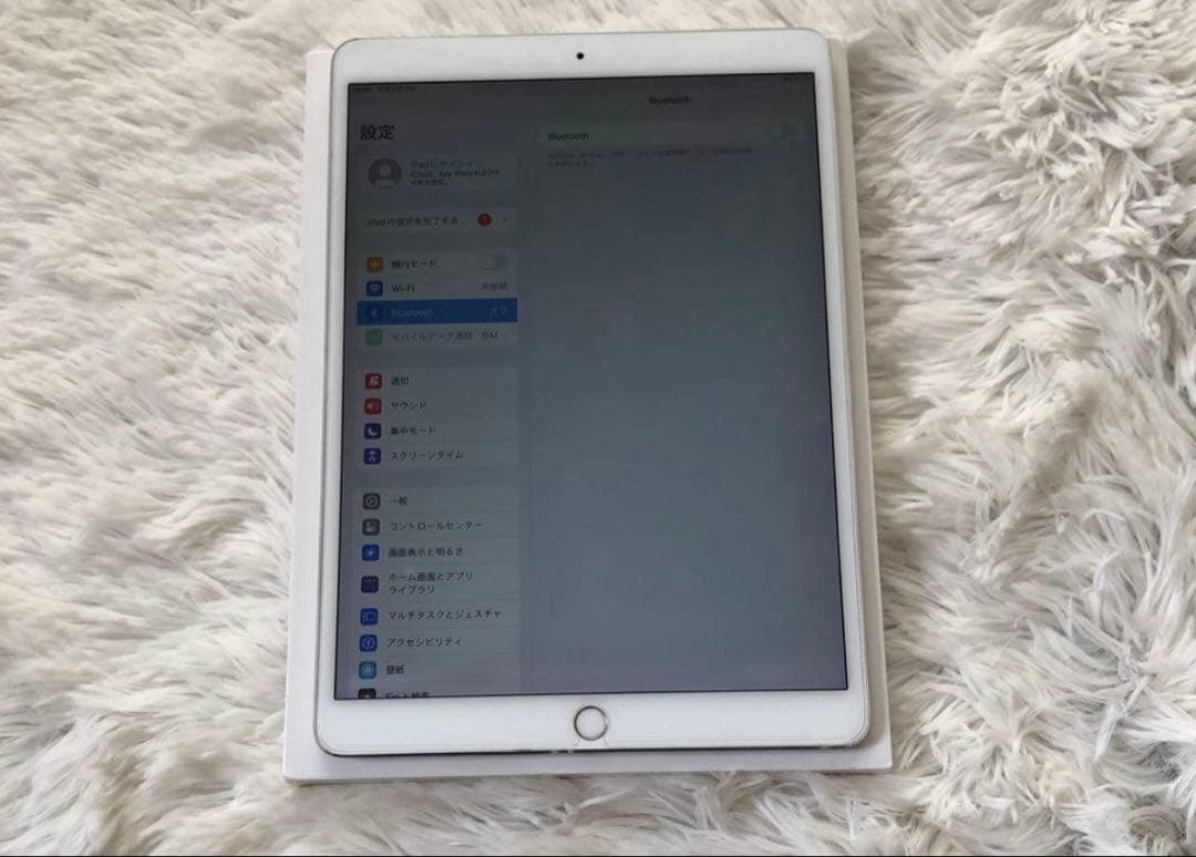【早い者勝ち】iPad Pro 10.5 256GB SIMフリー 【すぐ発送】